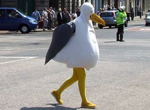 Seagull Costume Nautical Costume Ideas, Seagull Costume Diy, Seagull Costume, Nautical Costume, Finding Nemo Costume, Nemo Costume, Lake Animals, Captain Costume, Clever Costumes