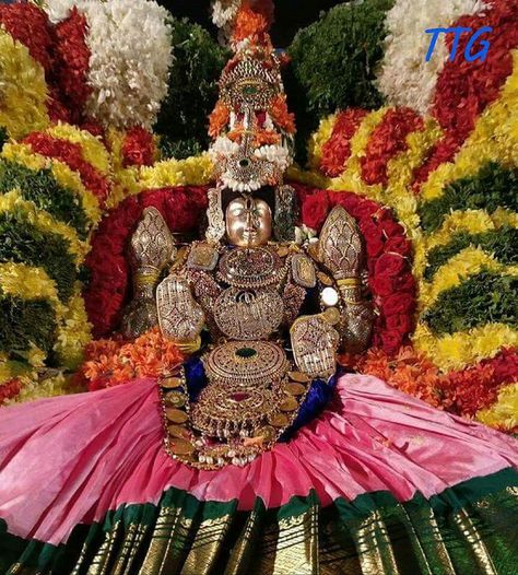 Padmavathi ammavaru Padmavathi Ammavaru, Goddess Mahalakshmi, Lord Vishnu Wallpapers, Devi Durga, Flower Stencil, Goddess Lakshmi, Lord Vishnu, God Pictures, Indian Gods