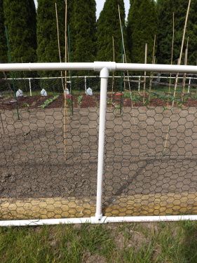 Building A Garden Fence With PVC Pipe – Simply Grateful Gardener Building A Garden, Pipe Fence, Portable Fence, Chicken Wire Fence, Patio Remodel, Pvc Fence, Diy Garden Fence, Deer Fence, Pvc Pipe Projects