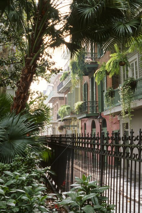 Louisiana Bayou, German Village, Catalina Island, Us Destinations, Cannon Beach, New Orleans Louisiana, Famous Places, French Quarter, Beach Town