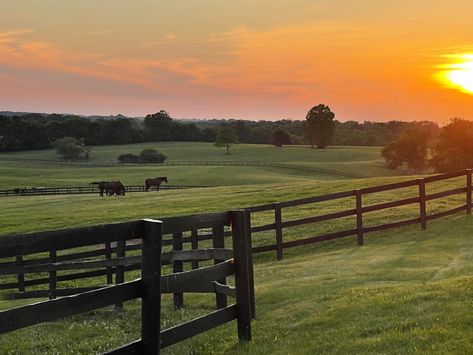 Farm Athstetic, Big Farm Aesthetic, Ranch House Astethic, Farm Sunset Aesthetic, Rich Farm Aesthetic, Southern Farm Aesthetic, Country Farm Aesthetic, Old Southern Aesthetic, Farm Asethic