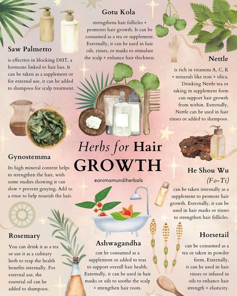 A N I M A M U N D I | 🌹What is the secret to strong hair? 🌹What are ancient recipes that have worked for millennia? From the opulent courts of ancient… | Instagram Herbalism Aesthetic, Moon Gemini, Benefits Of Herbs, Dream Herbs, Herbs For Hair Growth, Herbs For Hair, Medical Herbs, Ancient Recipes, Magic Herbs