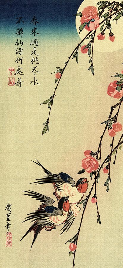 Birds Drawing - Vintage Japanese Ukiyo-e Woodcut - Birds and Flowers by Just Eclectic Painting Birds, Animal Art Projects, Peach Tree, Utagawa Hiroshige, Blossom Print, Japanese Cherry Blossom, Japanese Woodblock Printing, Swallows, Peach Blossoms