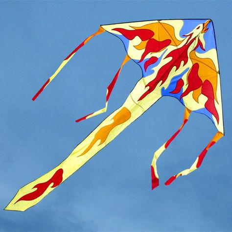 Image result for kites Kite Pattern, Kite Building, Kite Store, Kites Flying, White Tailed Kite, Kite Accessories, Stunt Kite, Delta Kite, Kite Installation