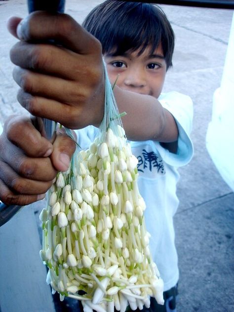 sampaguita | A kid selling sampaguita-flowers on the streets… | Flickr Philippine Culture, Filipino Heritage, Filipino Pride, Inspirational Pics, Philippines Beaches, Filipino Tattoos, Philippines Culture, Flower Necklaces, Floral Logo Design