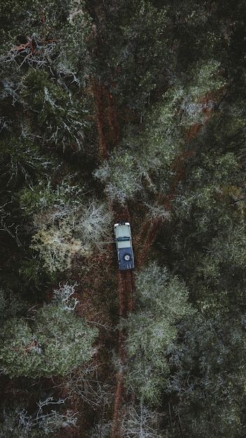 Free photo car driving along a pathway i... | Free Photo #Freepik #freephoto #forest-path #forest-road #forest-trees #nature-forest Car In Forest, Forest Highway, Side Road, Scenic Roads, Trees Nature, Forest Road, Forest Path, Insurance Companies, Car Driving