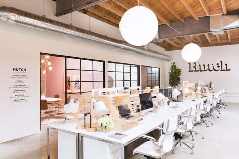 Multi Office Space, Coastal Modern Office Design, Office Open Space, Startup Office Design, Startup Office, Executive Home Office, Open Space Office, Cool Office Space, Office Design Ideas