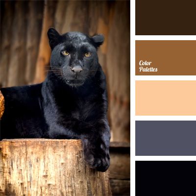 color In Color Balance, Seeds Color, Color Palette Ideas, Wall Living Room, Palette Design, Color Schemes Colour Palettes, Warm Palette, Palette Ideas, Color Balance