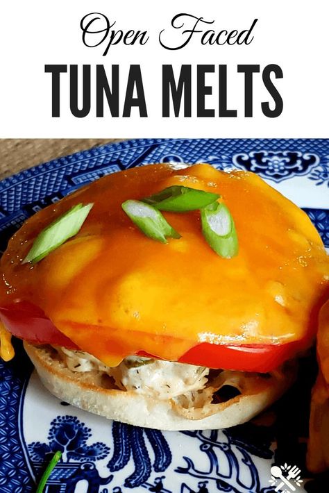 Creamy Tuna Salad, Classic Tuna Melt, Shrimp Salad Sandwich, Best Tuna Salad Recipe, Tuna Melt Sandwich, Tuna Melt Recipe, Best Tuna Salad, Canned Tuna Recipes, Tuna Cakes