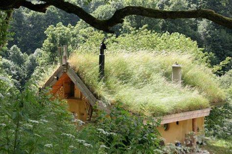 no problem Turf Roof, Underground Living, Green Roof System, Grass Roof, Green Roofs, Grass Valley, House In Nature, Earth Homes, Natural Building