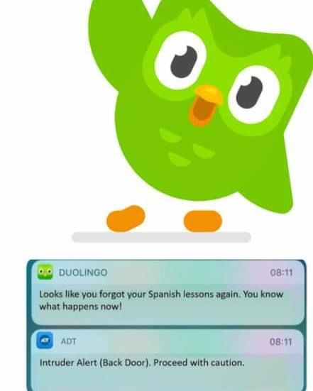 Duolingo Drawing, Scary Duolingo, Angry Duolingo, Duolingo Threats, Duolingo Bird, Funny Duolingo Sentences, Duo Lingo, Duolingo Memes, Funny Puns Jokes