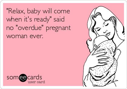 “Overdue” Still Pregnant Humor, Overdue Pregnancy, Overdue Baby, Pregnancy Struggles, Work Morale, M Is For Mama, Pregnancy Quotes Funny, Kids Humor, Pregnancy Jokes