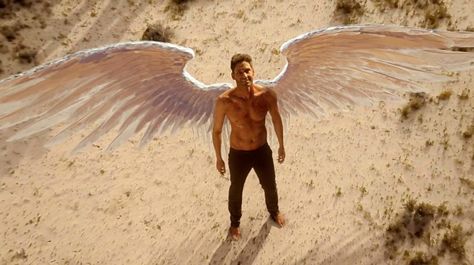 Season 2 is the second season of Lucifer. FOX announced that the series was renewed for a second season on April 7, 2016. The season premiered on Monday, September 19, 2016. On October 31, 2016, FOX announced the season will have 22 episodes, nine more than previously stated. However, on March 23, 2017, it was announced that only 18 episodes will air this season. The final four episodes were stand-alone episodes and were moved to be part of the third season. Starring Tom Ellis as Lucifer...Lucif Lucifer Wings, Tom Ellis Lucifer, Lauren German, Tv Awards, Lucifer Morningstar, Tom Ellis, Neil Gaiman, Morning Star, Season 3