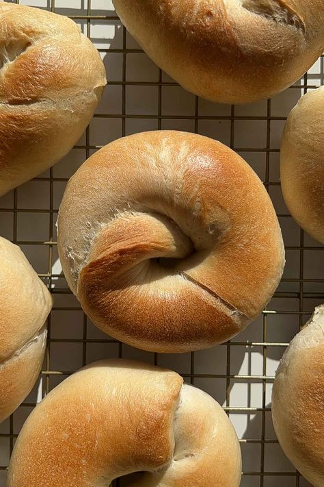 Japanese-Style Bagel Recipe - Okonomi Kitchen Bagel Photography Food Styling, Chewy Bagel Recipe, Bagel Photography, Okonomi Kitchen, Sweet Red Bean Paste, Chewy Bread, New York Bagel, Japanese Bread, No Yeast Bread