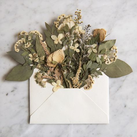 Instagram Photography Ideas, Framed Florals, Flower Envelope, Pressed Flowers Diy, Floral Envelope, Dried Flowers Wedding, Pressed Flower Crafts, Floating Flowers, Pressed Flower Art