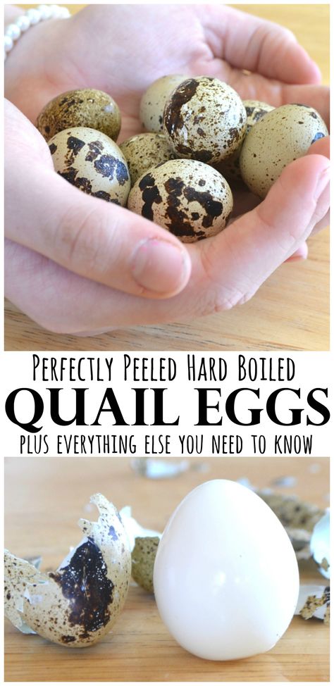 Boiled Quail Eggs, Pickled Quail Eggs, Quail Recipes, Fried Quail, Pickle Vodka, Raising Quail, Cooking Mama, Pickled Eggs, Wild Game Recipes