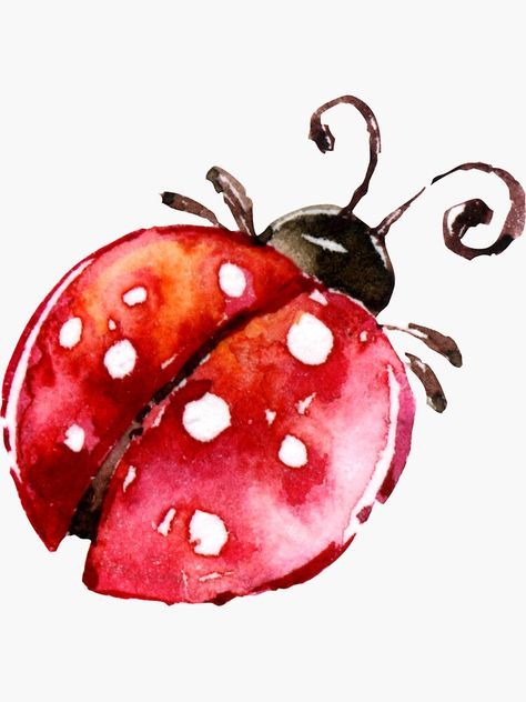 Simple Flowers Illustration, Ladybug Watercolor Paintings, Painting Ladybugs, Valentine Watercolor Painting, Ladybug Doodle, Ladybug Animal, Ladybug Watercolor, Cute Watercolor Animals, Ladybug Painting