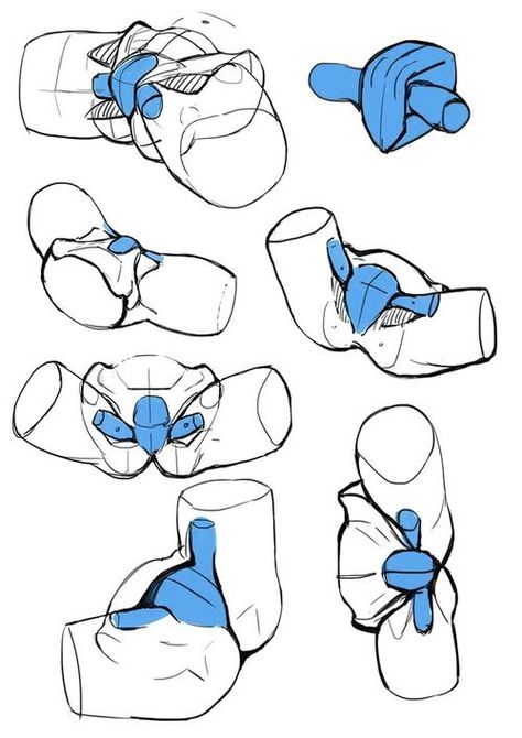 Anatomy Tutorial, Human Anatomy Drawing, Body Drawing Tutorial, Human Anatomy Art, Anatomy Drawing, Figure Drawing Reference, Drawing Lessons, Anatomy Art, Art Tutorials Drawing