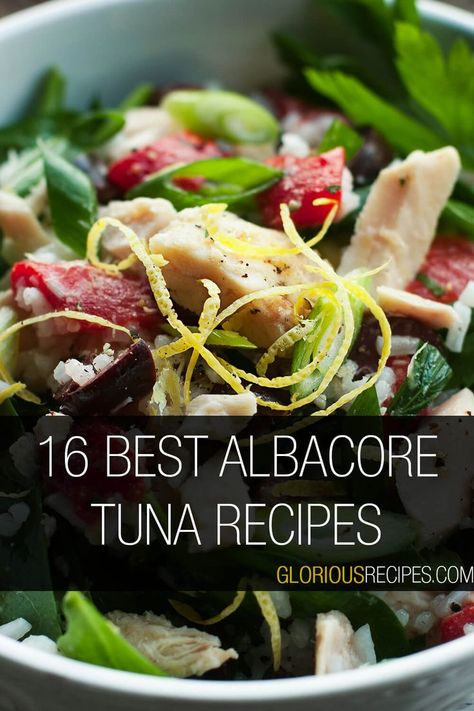 Albacore Tuna Recipes White Albacore Tuna Recipes, Albacore Tuna Recipes Steaks, Fresh Tuna Recipes Baked, Albacore Tuna Loin Recipes, Canned Albacore Tuna Recipes, Tuna Loin Recipe, Fresh Albacore Tuna Recipes, Albacore Tuna Steak Recipes, Albacore Tuna Recipes Canned