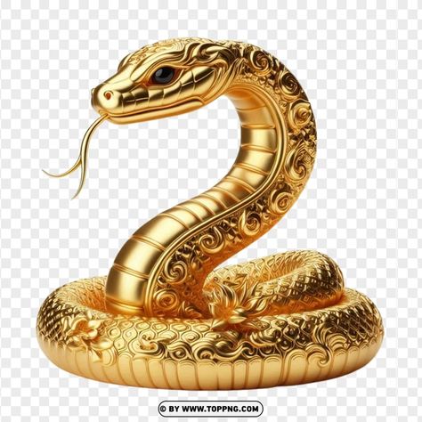 Year Of The Snake 2025, Fish Design Logo, Snake Png, Snake Zodiac, Year Of Snake, Snake Decor, 3d Snake, 2025 Design, Iphone Wallpaper Clock