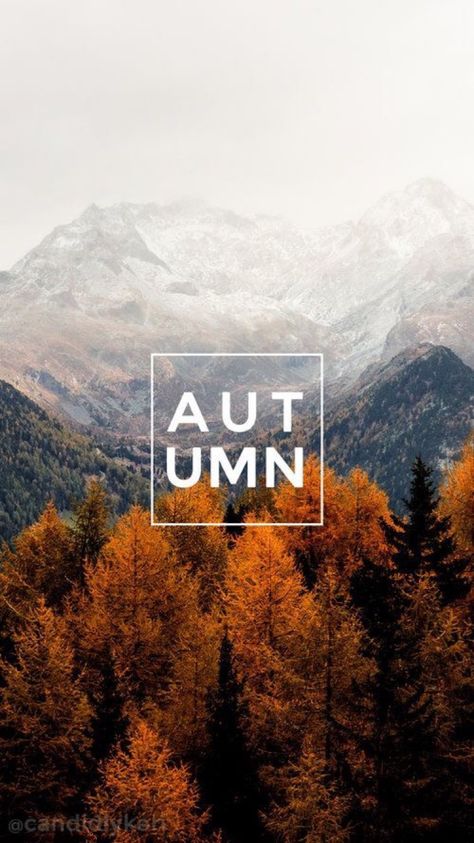 Cosy Autumn Vibes — Autumn Wallpapers 2🍂🍁🌰 Wallpapers Autumn, October Wallpaper, Autumn Wallpaper, Disney Background, Wallpapers Android, Fall Background, Pretty Phone Wallpaper, Have Inspiration, Halloween Backgrounds