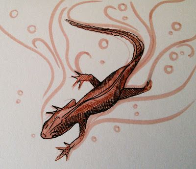 Newt Drawing Animal, Newt Drawing, Newt Animal, Animal Sketches, Roald Dahl, Newt, Cute Animal Drawings, Lizards, Drawing Inspo