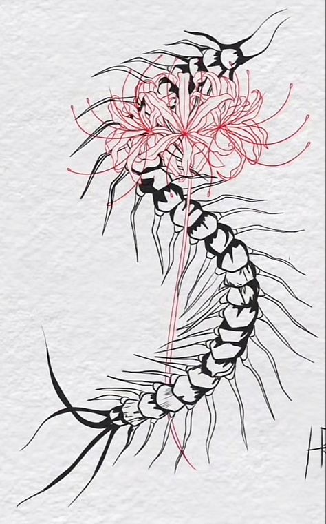 Centipede With Flowers Tattoo, Red Spider Lily And Centipede Tattoo, Spider Lily Centipede Tattoo, Tokyo Ghoul Tatoos, Tokyo Ghoul Centipede Tattoo Design, Spider Lily Tokyo Ghoul Tattoo, Tattoo Ideas Tokyo Ghoul, Spider Lily Tattoo Stencil, Red Centipede Tattoo