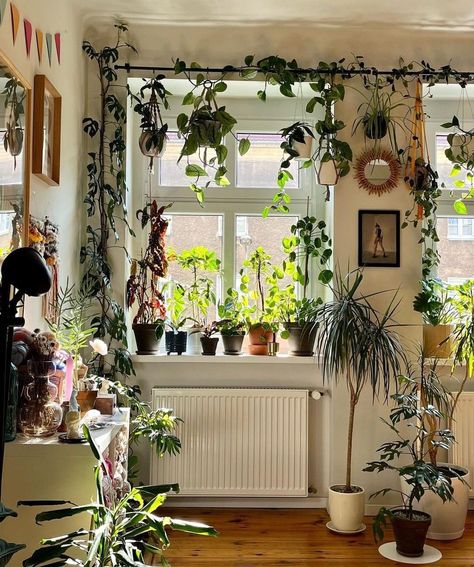 Beatles Room Decor, Plants In Window, Plant Layout, Hippie Homes, Dream Apartment Decor, Garden Crafts Diy, Plant Decor Indoor, Cozy Room Decor, House Plants Decor