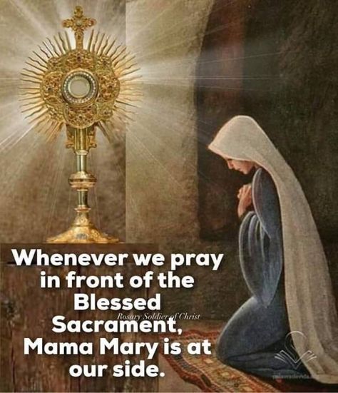 24/7 Live Eucharistic Adoration Streams – The Catholic Me Adoration Prayer, Adoration Catholic, Catholic Gentleman, Eucharistic Miracle, Have Mercy On Me, Catholic Sacraments, Catholic Prayers Daily, The Blessed Sacrament, Catholic Beliefs