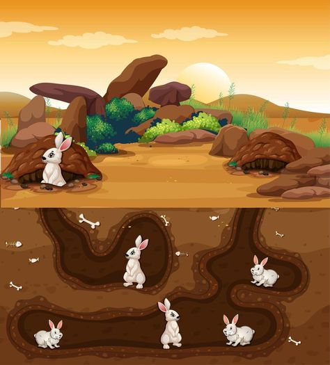 Underground animal hole with many rabbits Nature Cartoon, All About Rabbits, Animal Worksheets, Prairie Dog, Background Template, Animal Habitats, The Underground, Nature Kids, Rabbit Hole