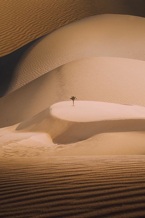 egyptian photographer karim amr captures desert's monumental solitude Desert Photography, Ancient Kingdom, Desert Dream, Egypt History, Ancient World, London Photos, Photo Series, Historical Pictures, Desert Landscaping