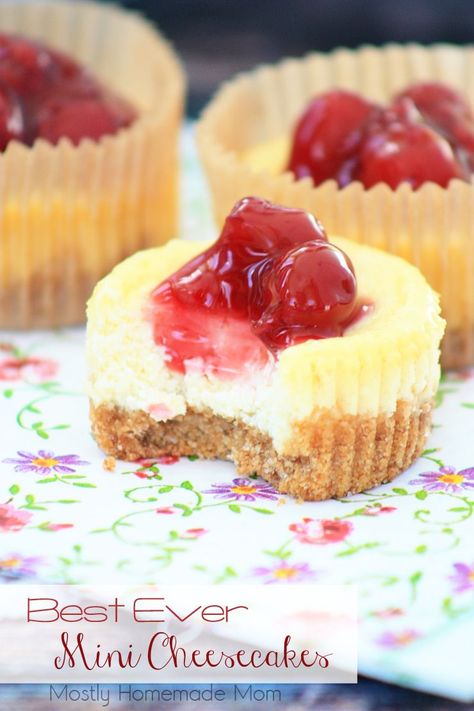 THE BEST recipe ever for Mini Cheesecakes! My kids beg me to make these again and again! High Altitude Recipes Colorado, Fruit Coulis, Mini Patisserie, Biscotti Cheesecake, Philadelphia Cheesecake, Cheesecake Cookie, Dessert Mini, Mini Cheesecake Recipes, Torte Cupcake