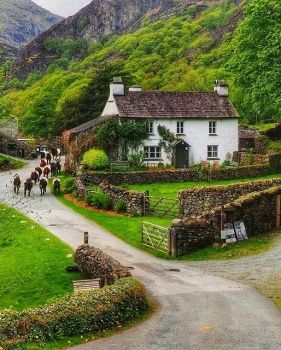 Yew Tree, England Countryside, Photos Of, Farm Cottage, British Countryside, Tree Farm, English Cottage, English Countryside, England Travel