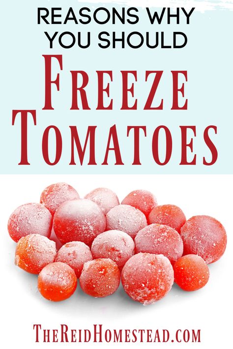 How To Freeze Tomatoes, Freezing Food Guide, Freezing Veggies, Summer Canning, Freezer Ideas, Root Cellars, Freezing Tomatoes, Tomato Harvest, Freezing Vegetables