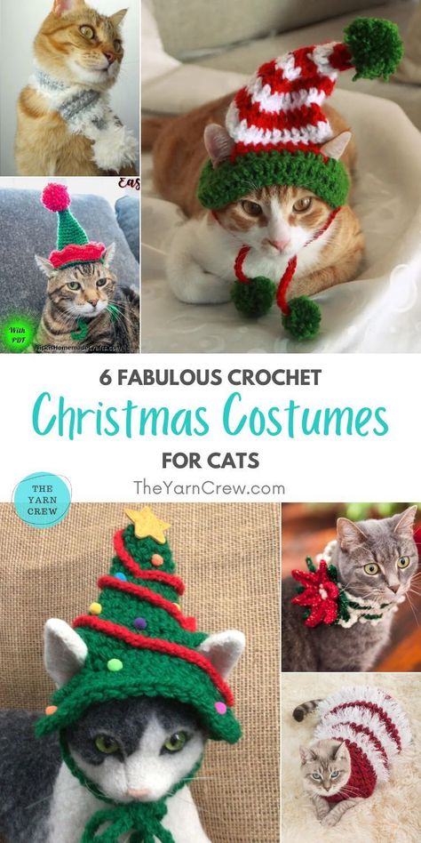 6 Fabulous Crochet Christmas Costumes For Cats. 6 Fabulous Crochet Christmas Costumes For Cats curated by The Yarn Crew. Costumes For Cats, Cat Hat Pattern, Cat Outfit, Crochet Christmas Hats, Crochet Cat Hat, Christmas Tree Hat, Small Dog Sweaters, Crochet Dog Sweater, Crochet Supplies