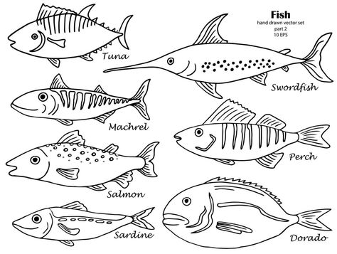 Set of isolated line hand drawn fish with names. Sketch collection Cute Fish Drawing Easy, Fish Drawings Easy, Fish Line Drawing, Fish Drawing Easy, College Art Projects, Easy Fish Drawing, Fish Outline, Fish Sketch, Drawn Fish