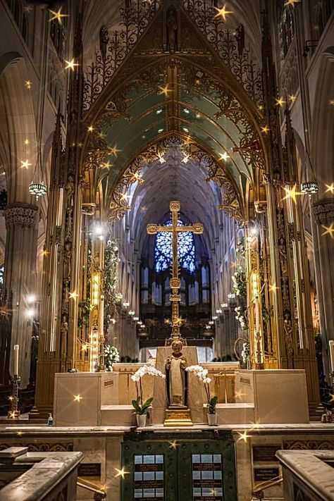 St Patrick’s Cathedral Nyc, St Patricks Cathedral Nyc, St Patrick's Cathedral, Nyc Christmas, Cathedral Architecture, Jesus And Mary Pictures, Religious Architecture, Visit New York, Church Architecture