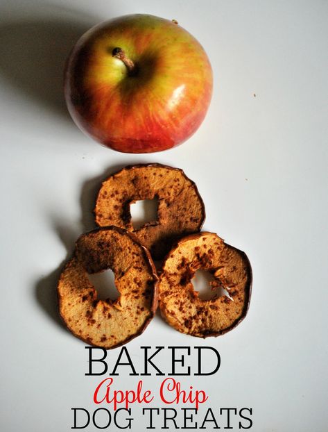 Baked Apple Chips For Dogs. So Easy, So Good, So Healthy! Low Fat Dog Treats, Baked Apple Chips, Homemade Dog Cookies, Dehydrated Apples, Apple Chips Baked, Dog Treats Homemade Easy, Apple Slice, Dog Biscuit Recipes, Easy Dog Treats