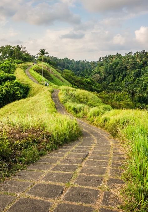 50 Amazing places to see in Bali, Indonesia #bali #indonesia #travel #traveltobali #traveltoindonesia #bestplacestoseeinbali #magicplaces Campuhan Ridge Walk, Places In Bali, Bali Tour Packages, Bali Tour, Bali Travel Guide, Romantic Honeymoon, Honeymoon Travel, Secret Places, Bali Travel