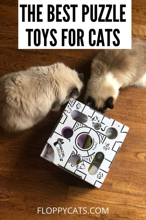 Cat Puzzle Feeder, Cat Games, Cat Scratching Furniture, Toys For Cats, Homemade Cat Toys, Dog Puzzle Toys, Diy Cat Toys, Cat Things, Cat Activity