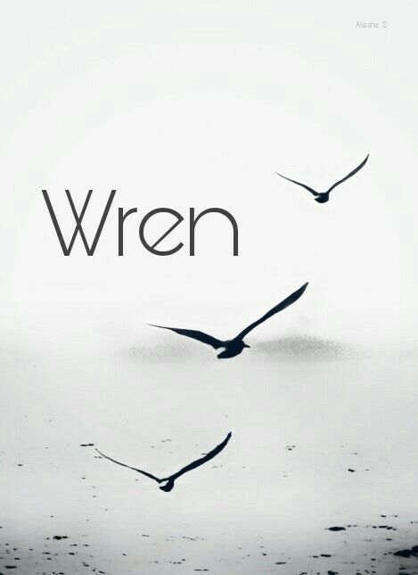 Wren Name Meaning, Wren Name, Forever My Girl, Writing Characters, Unusual Words, Cool Books, Wren, Character Names, Baby Girl Names