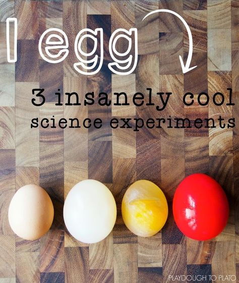 3 Insanely Cool Egg Experiments | These kids’ science experiments use one egg and a few simple kitchen items for some seriously egg-citing results. The three sequential experiments are super simple but loaded with learning. Egg Experiments, Playdough To Plato, Cool Science, Science Experiments For Preschoolers, Science Crafts, Kid Experiments, Science Projects For Kids, Science Activities For Kids, Fair Projects