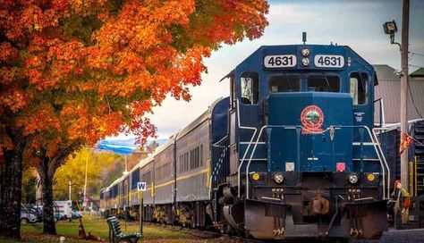 the blue ridge scenic railway in the fall through the chattahoochee national forest Blue Ridge Scenic Railway, Hiking In Georgia, Indoor Car, Chattahoochee National Forest, Visit Maine, Hill City, Scenic Railroads, Train Tour, North Georgia Mountains