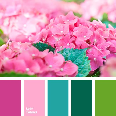 bright pink, color matching, contrast colors, dark green, emerald color, green color, hydrangea color, juicy tones, lime color, pale pink, saturated pink, shades of pink. Săpunuri Handmade, Wall Living Room, Color Schemes Colour Palettes, Color Palette Pink, Color Palate, Design Seeds, Color Palette Design, Color Balance, Living Room Bathroom