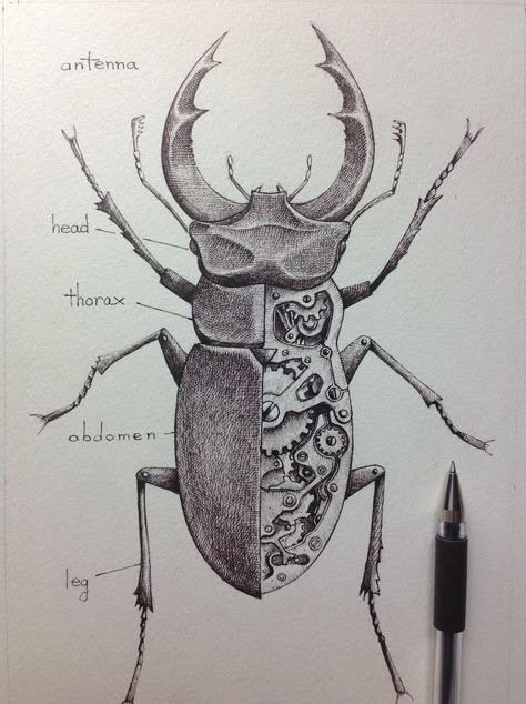 Bug Tattoo Ideas, Mechanical Objects, Steampunk Drawing, Beetle Drawing, Beetle Tattoo, Beetle Art, Insect Species, Bug Tattoo, Insect Tattoo