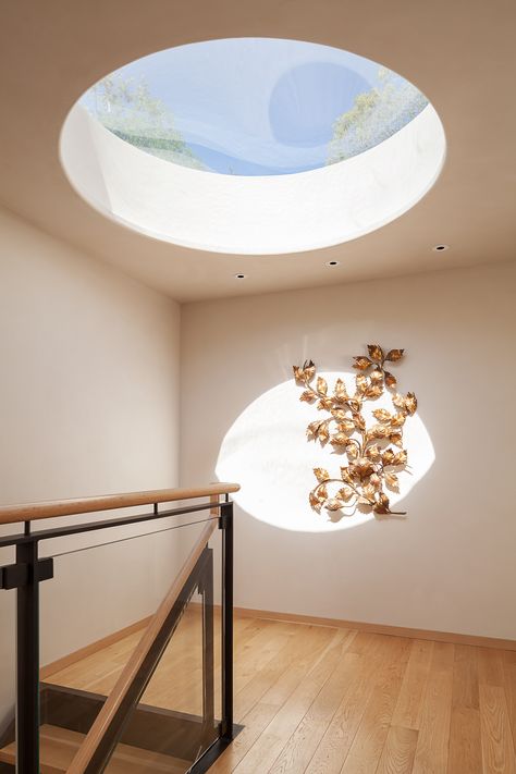 Round Skylight Ceilings, Round Skylight, Moss Ideas, Cottage Cafe, Water Museum, Skylight Covering, House Finishes, Board Formed Concrete, Disc Interiors