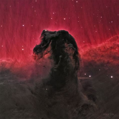 Astronomy Picture of the Day Horsehead Nebula, Look Up In The Sky, Astronomy Pictures, City Of Stars, Our Universe, Thanks For Your Support, Space Science, Space And Astronomy, Horse Head