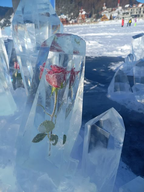 Floral Ice Sculpture, Frozen Animals In Ice, Ice Sculpture Aesthetic, Iceberg Aesthetic, Ice Sculptures Wedding, Lizzy Hearts, Ice Decorations, Alistair Wonderland, Lily Manga