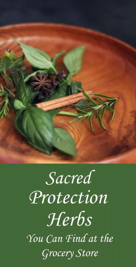 9 Sacred Protection Herbs & Spices to Know - Moody Moons Protection Herbs, Herbs For Protection, Witch Herbs, Wiccan Magic, Magic Herbs, Kitchen Witchery, Herbs Spices, Magical Herbs, Herbal Healing