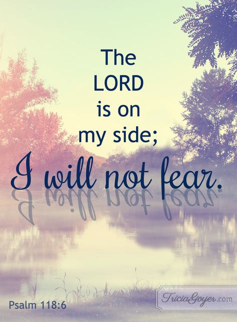 I will no fear! Psalm 118 Psalm 118 6, Fear Quotes, Psalm 118, No Fear, Favorite Bible Verses, Verse Quotes, Bible Inspiration, Scripture Verses, Bible Verses Quotes